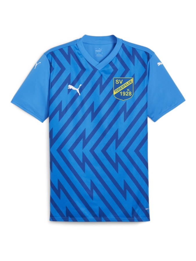 PUMA teamGLORY Trikot