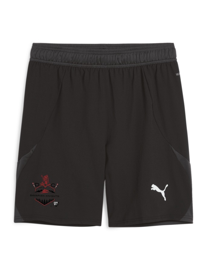 PUMA teamFINAL Shorts