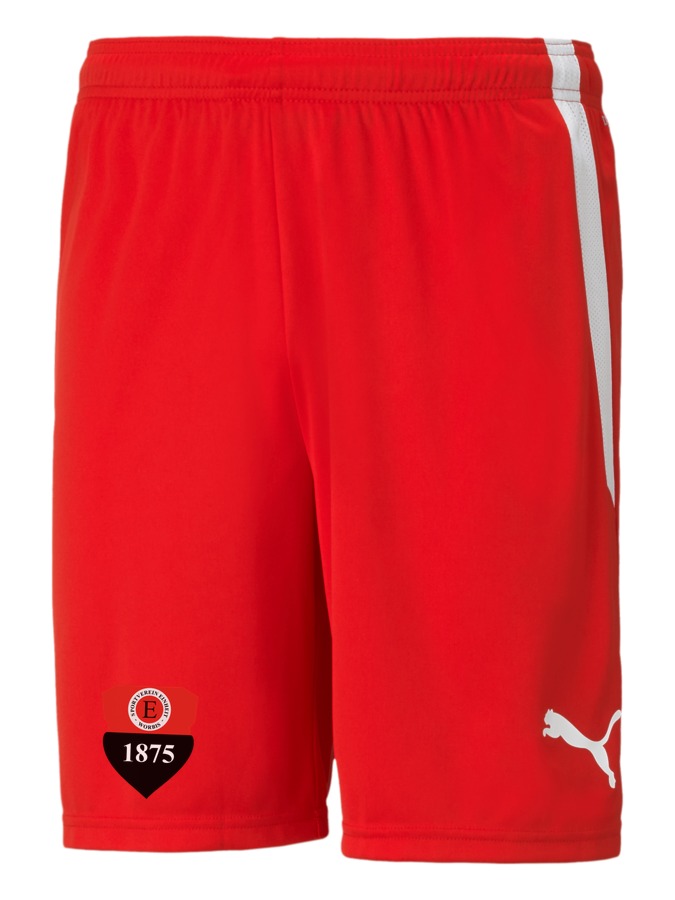 PUMA teamLIGA Shorts