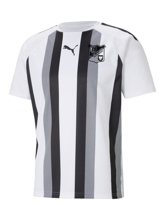 PUMA teamLIGA Striped Trikot