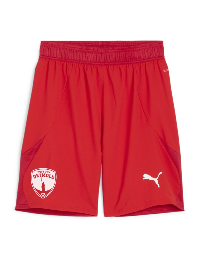 PUMA teamFINAL Shorts