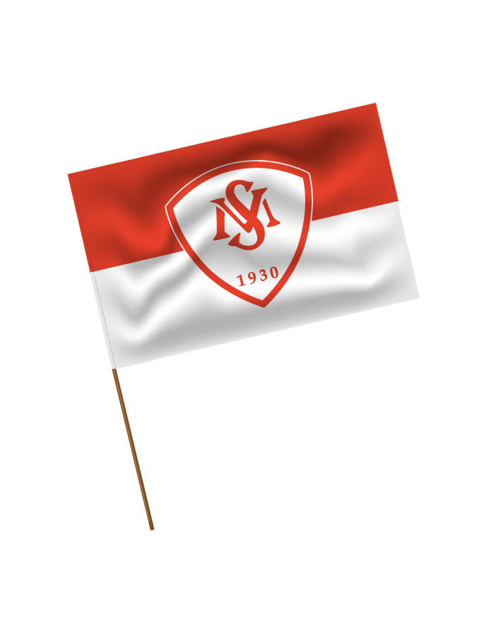 Stadionfahne Logo