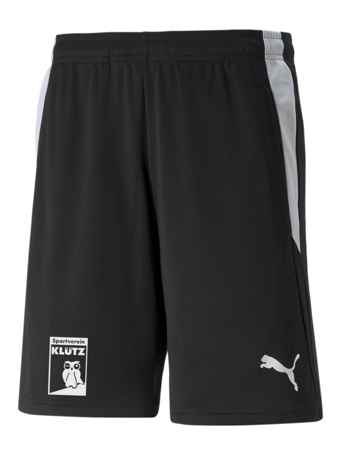 PUMA teamLIGA Referee Shorts