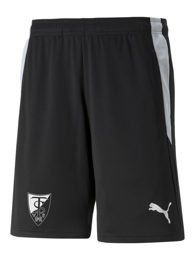 PUMA teamLIGA Referee Shorts