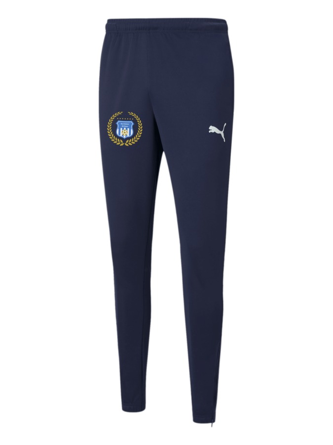 PUMA teamRISE Poly Trainingshose