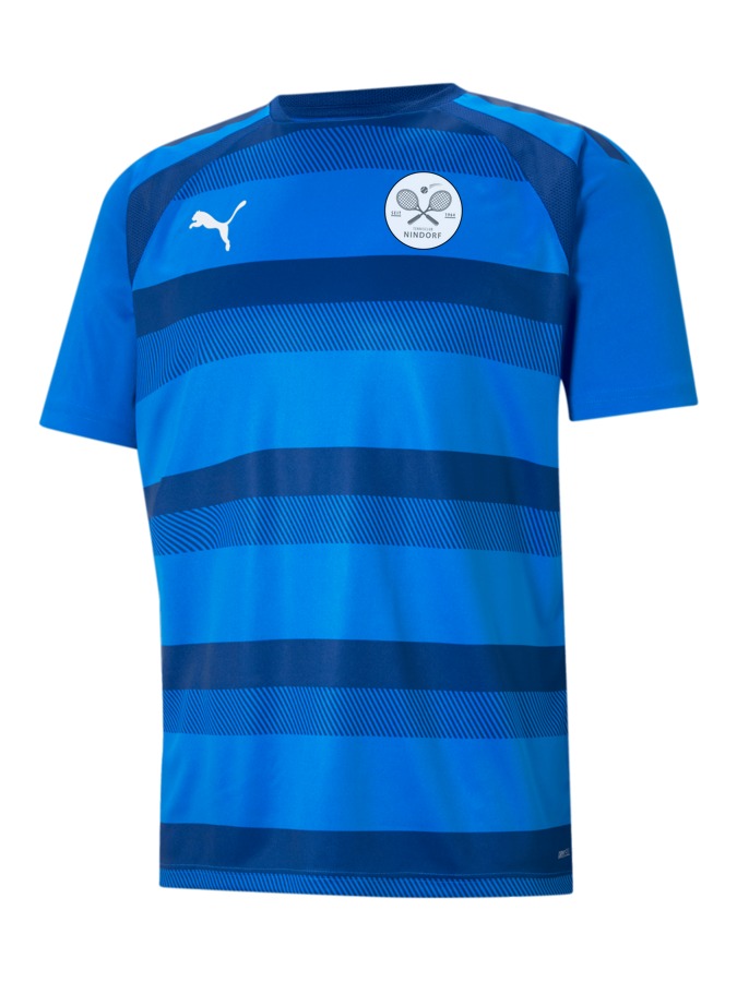 PUMA teamVISION Trikot