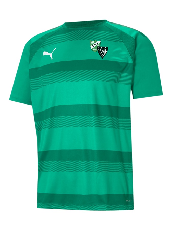 PUMA teamVISION Trikot