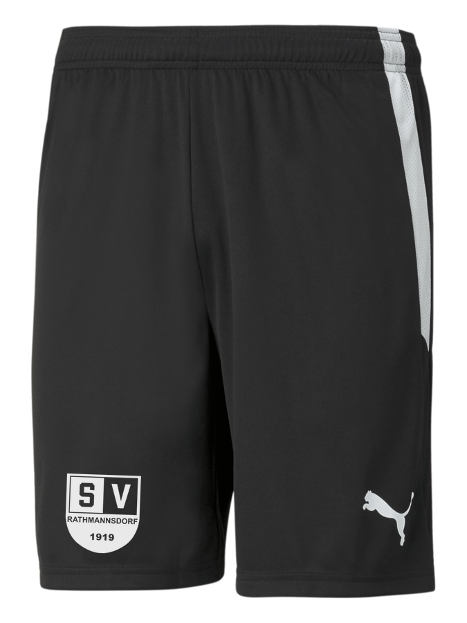 PUMA teamLIGA Shorts