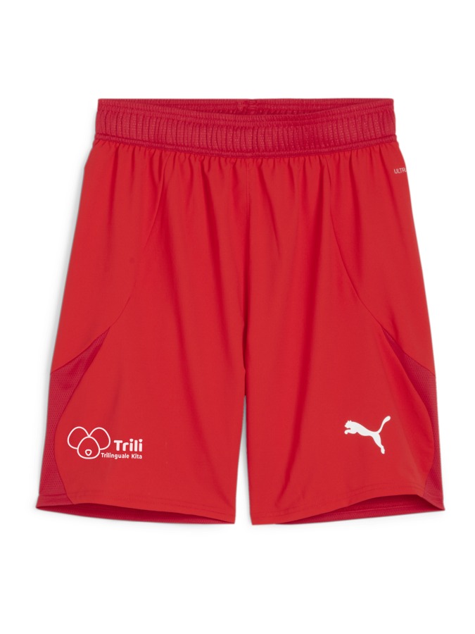 PUMA teamFINAL Shorts