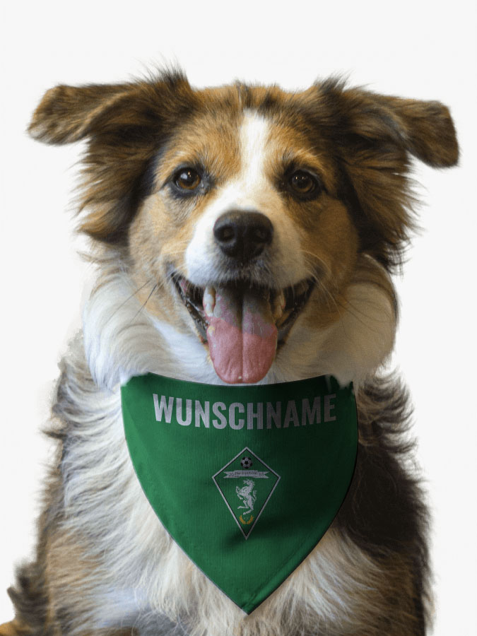 Hundehalstuch