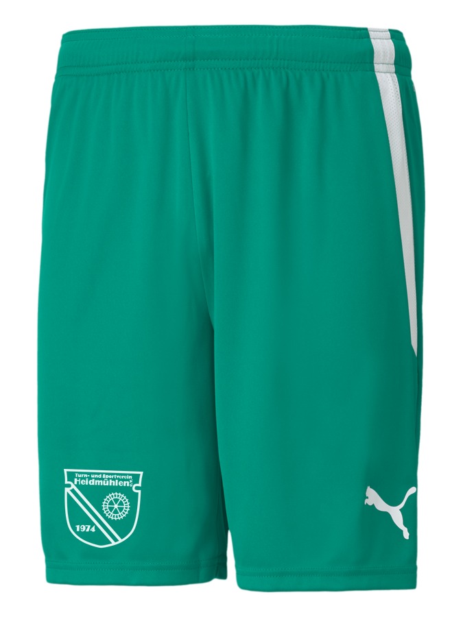 PUMA teamLIGA Shorts