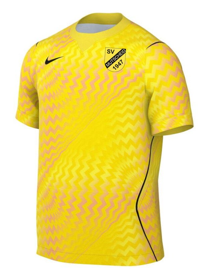 Nike Gardien VI Torwart Trikot