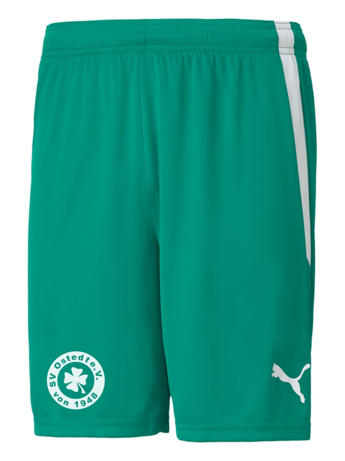 PUMA teamLIGA Shorts