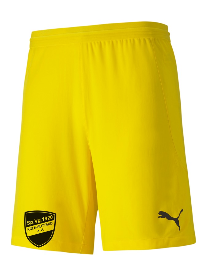 PUMA teamFINAL 21 Knit Shorts