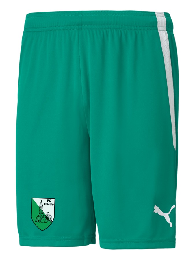 PUMA teamLIGA Shorts
