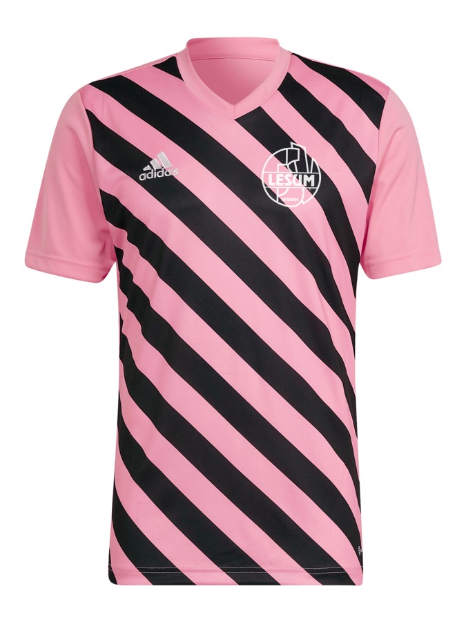 adidas Entrada 22 GFX Trikot