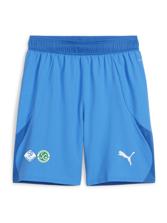 PUMA teamFINAL Shorts