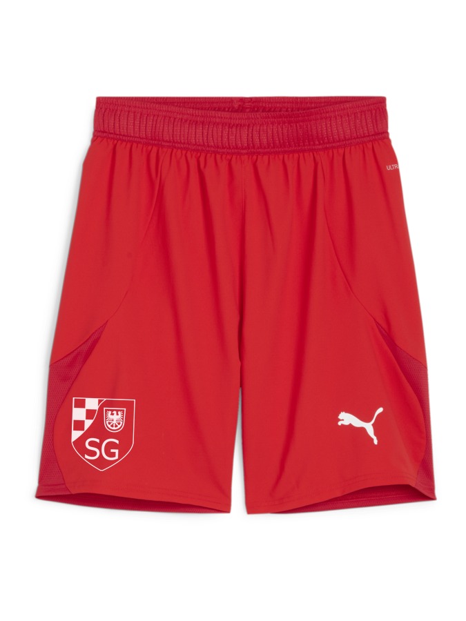 PUMA teamFINAL Shorts