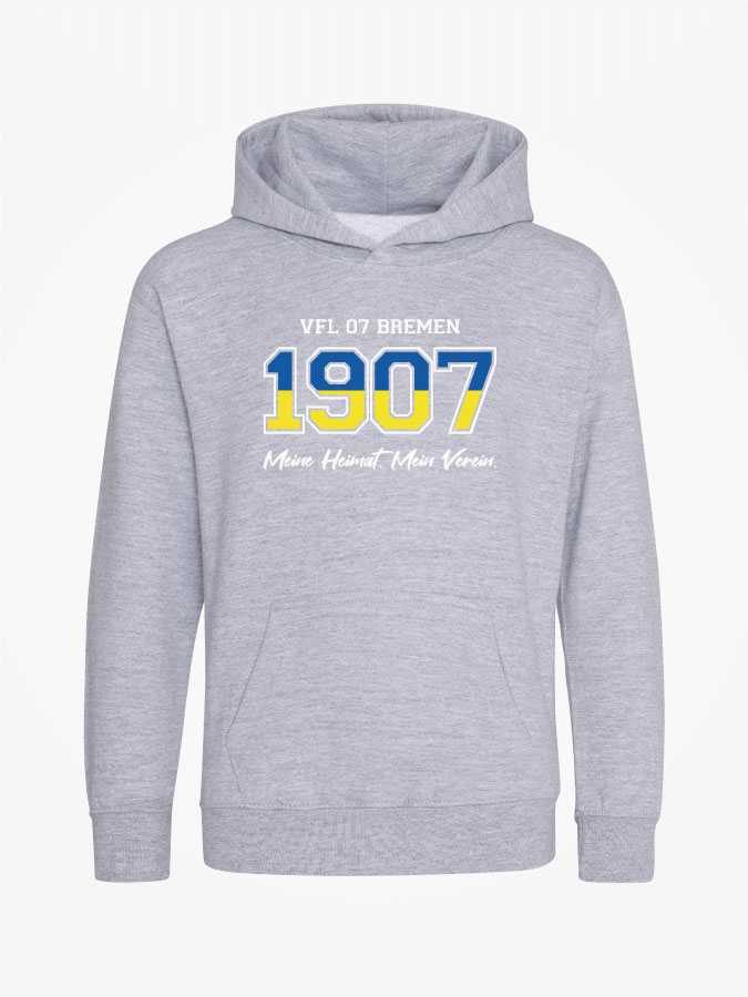 Hoodie Established Kids