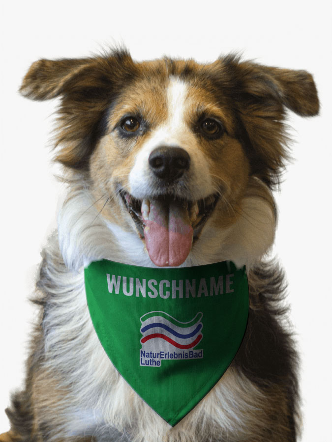 Hundehalstuch
