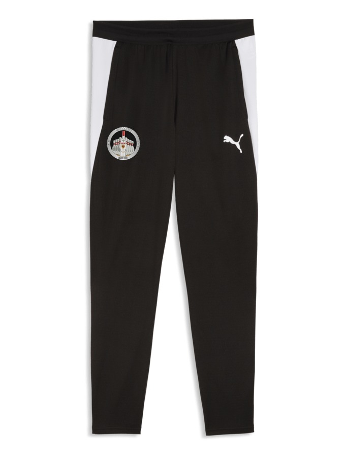 PUMA teamFINAL26 Trainingshose