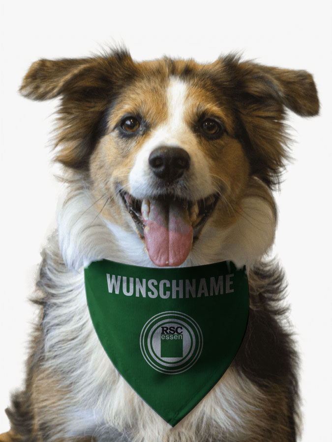 Hundehalstuch