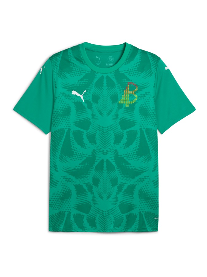 PUMA teamULTIMATE Trikot