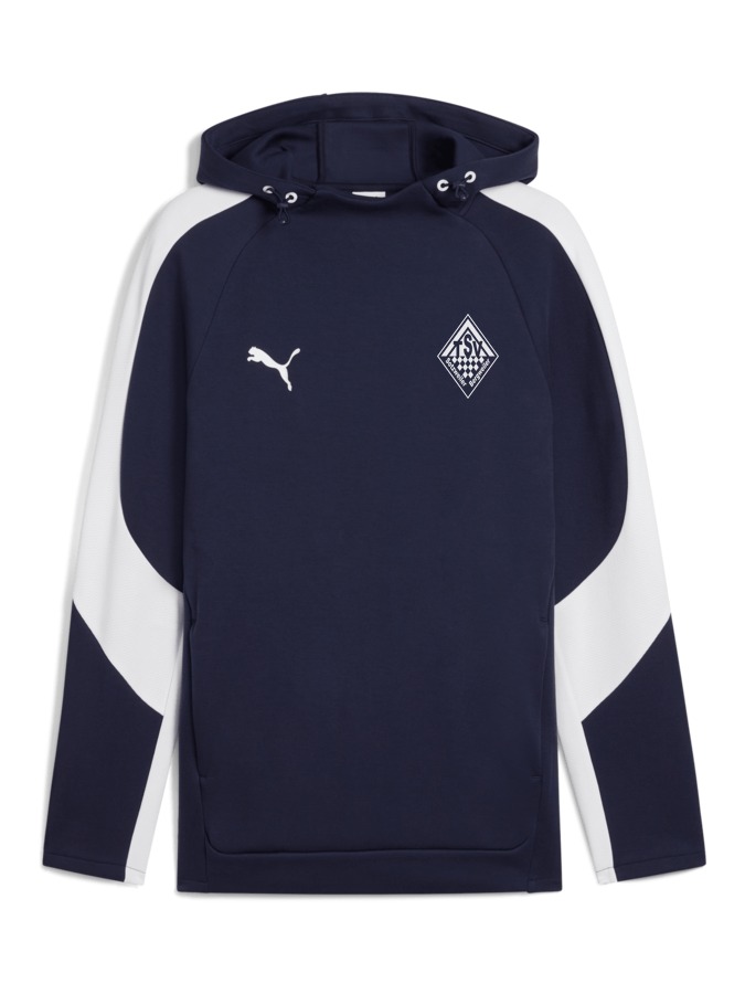 PUMA teamEVOSTRIPE Hoody