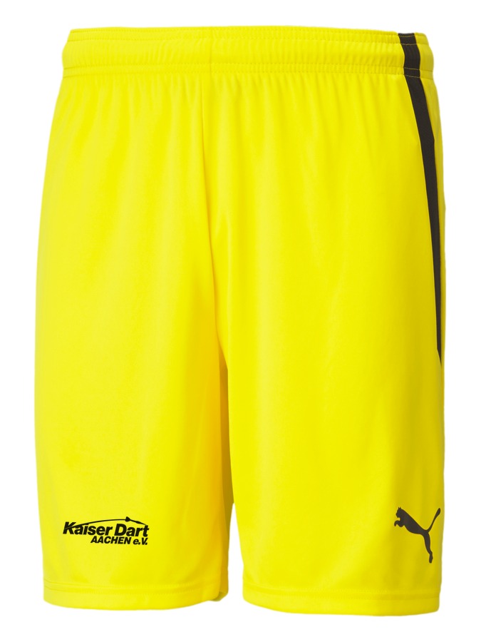PUMA teamLIGA Shorts