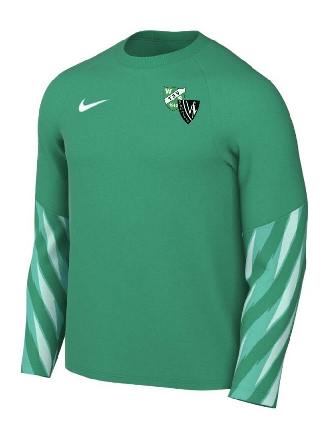 Nike Dri-FIT Park V Torwart Trikot Langarm