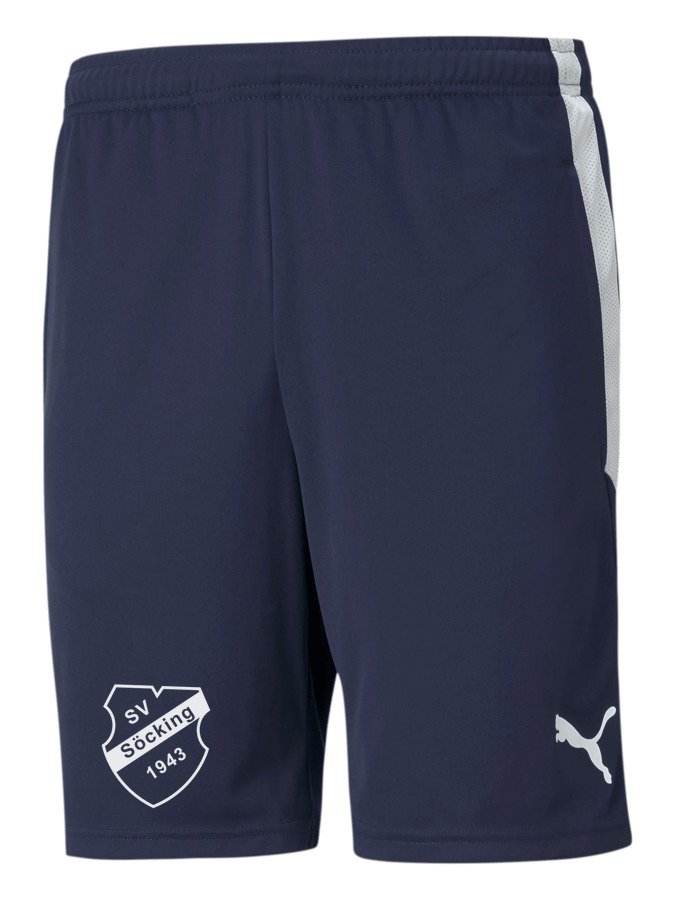 PUMA teamLIGA Training Shorts