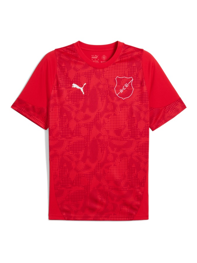 PUMA teamCUP Trainingsshirt