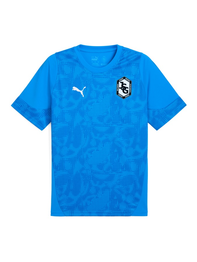 PUMA teamCUP Trainingsshirt