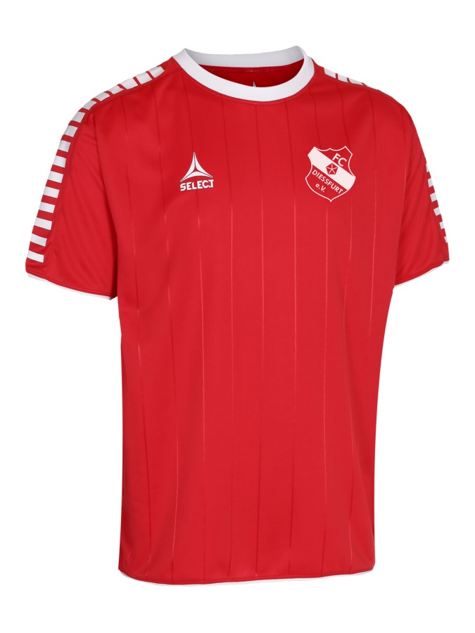 Select Argentina Trikot