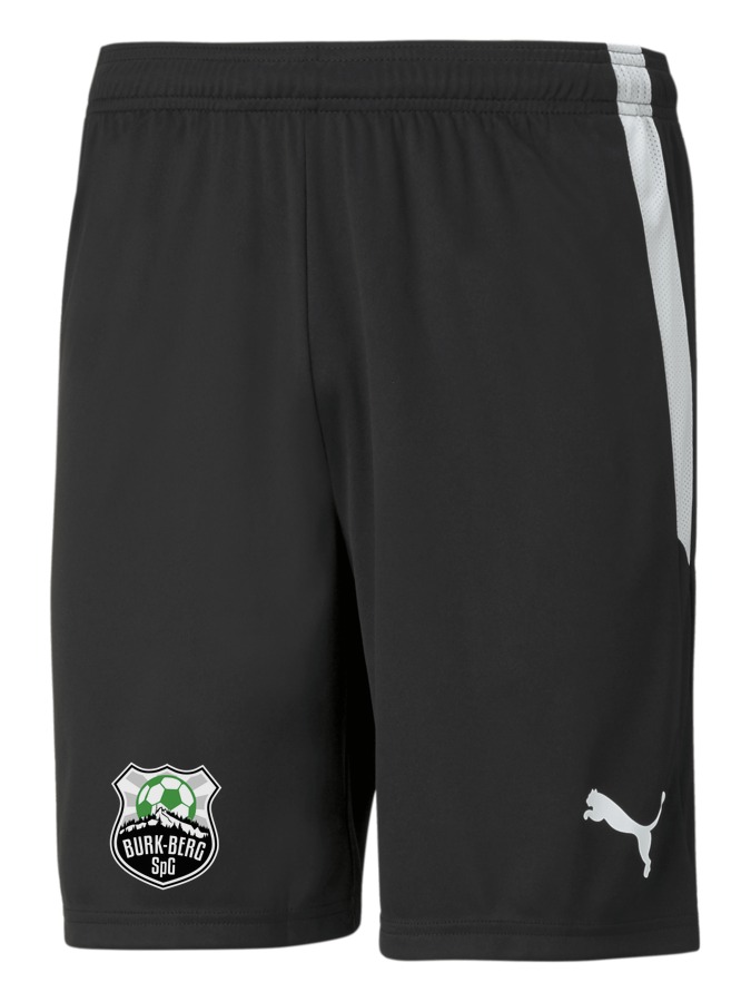 PUMA teamLIGA Shorts