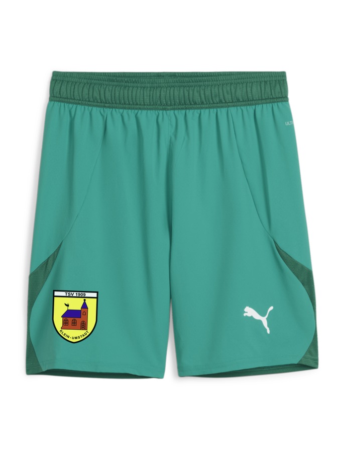 PUMA teamFINAL Shorts