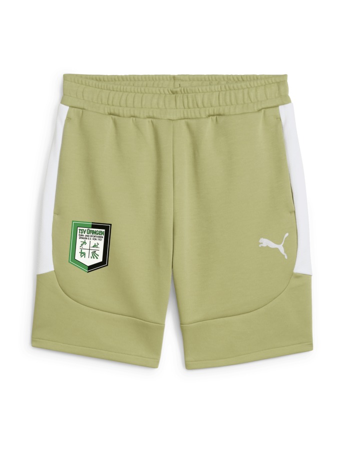 PUMA teamEVOSTRIPE Shorts