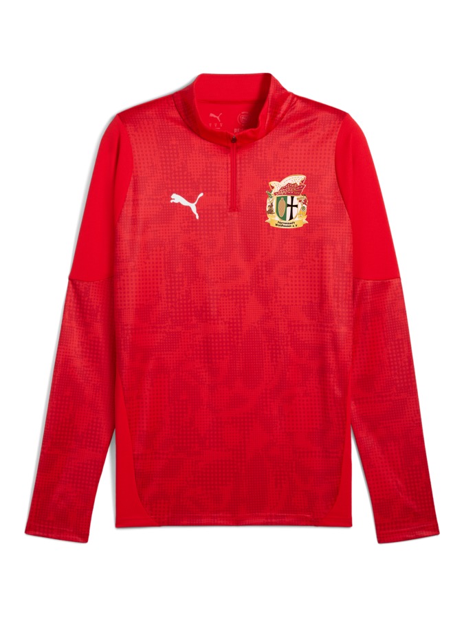 PUMA teamCUP Training 1/4-Zip-Top