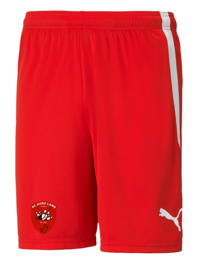 PUMA teamLIGA Shorts