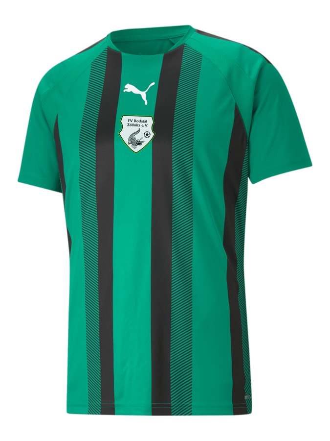 PUMA teamLIGA Striped Trikot