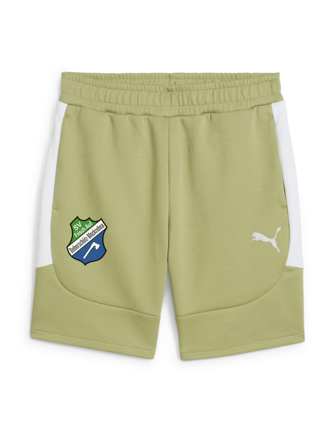 PUMA teamEVOSTRIPE Shorts