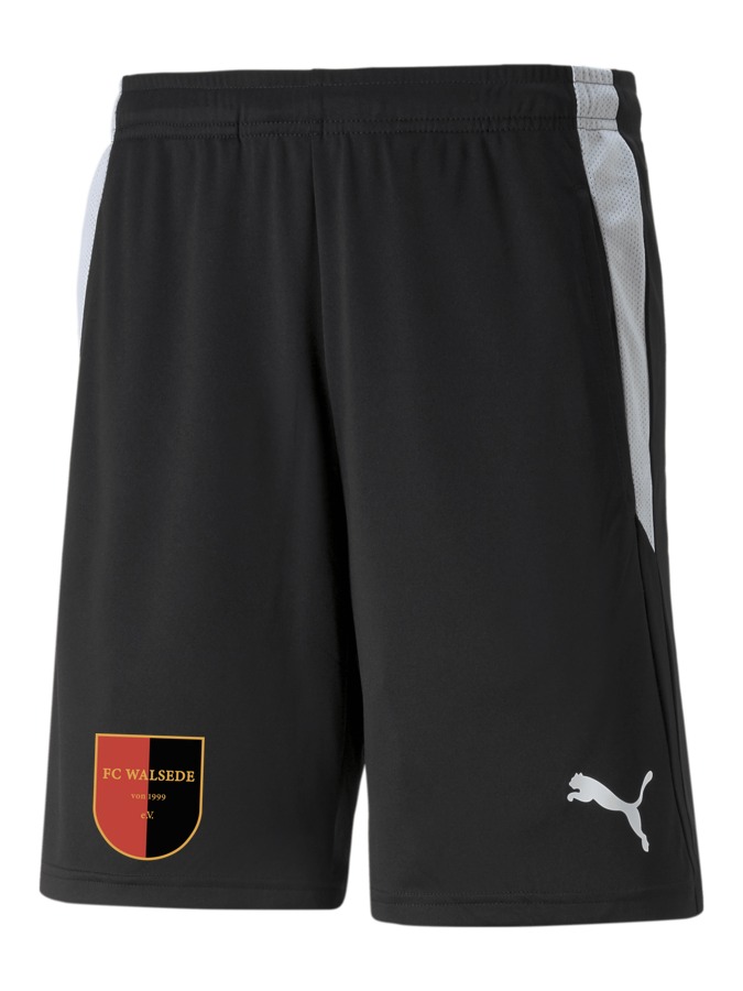 PUMA teamLIGA Referee Shorts