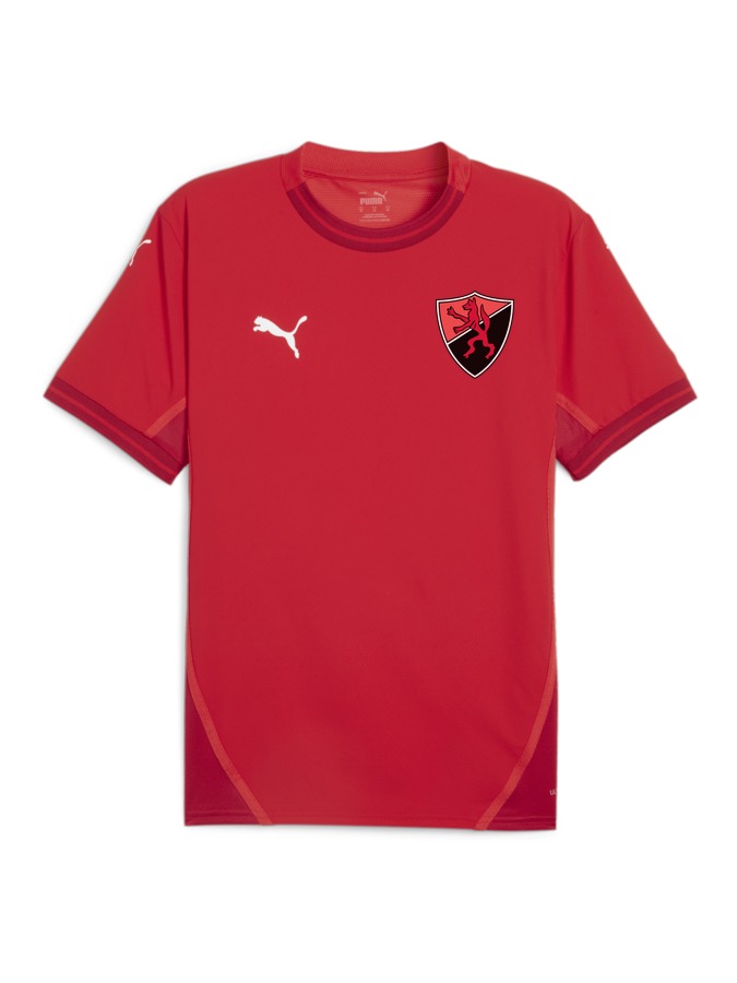 PUMA teamFINAL Trikot