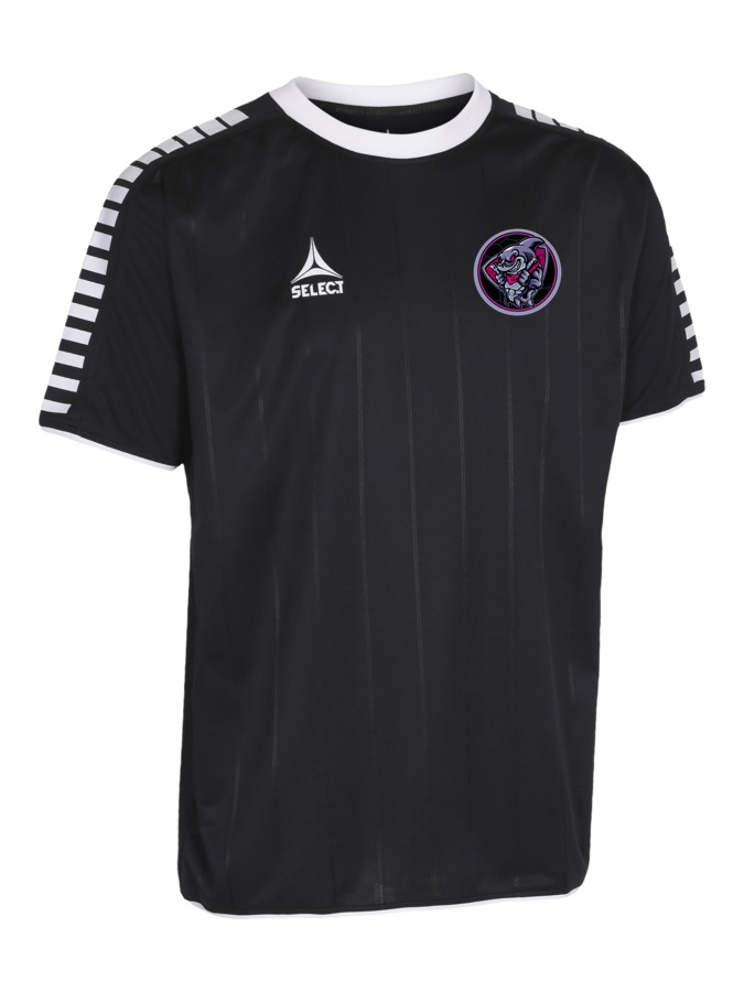 Select Argentina Trikot