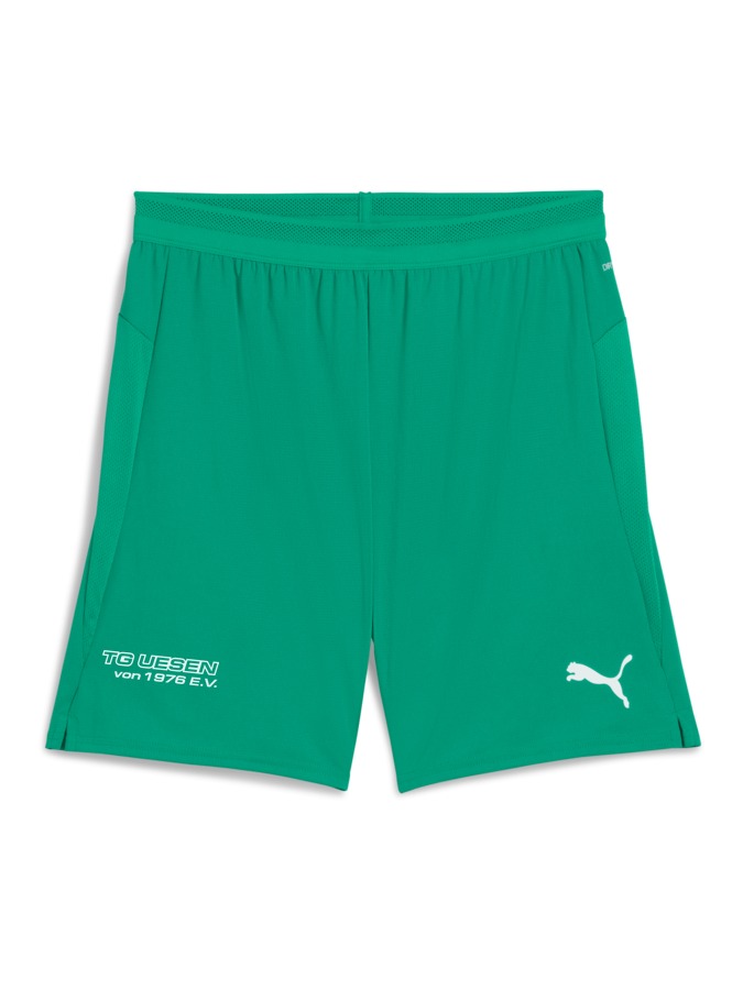 PUMA teamCUP Shorts