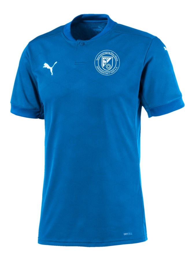 PUMA teamFINAL 21 Trikot