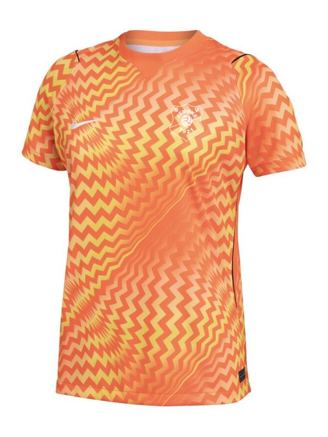 Nike Gardien VI Torwart Trikot Damen