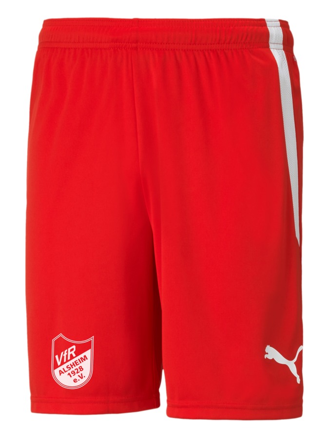 PUMA teamLIGA Shorts