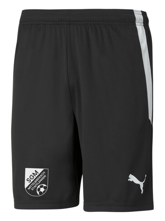 PUMA teamLIGA Shorts