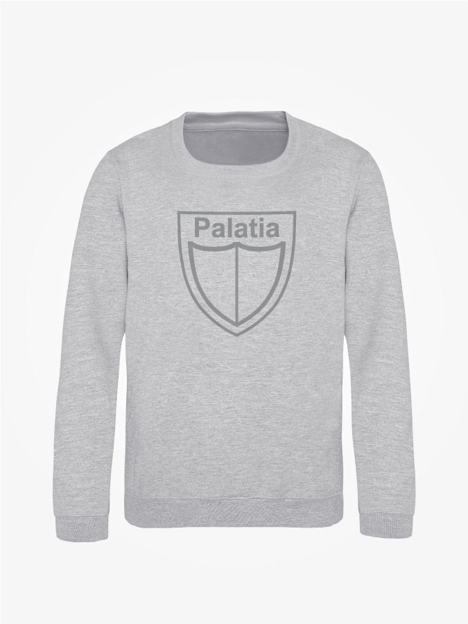 Sweater All Grey Kids Unisex